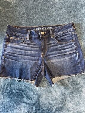 American Eagle Outfitters Women's Dark Blue Denim Shorts